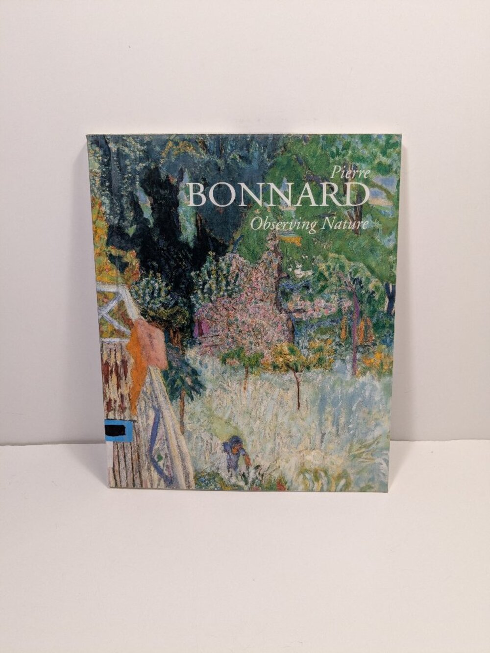 Pierre Bonnard Observing Nature Vintage Paperback Oversize Art Book Avant Garde